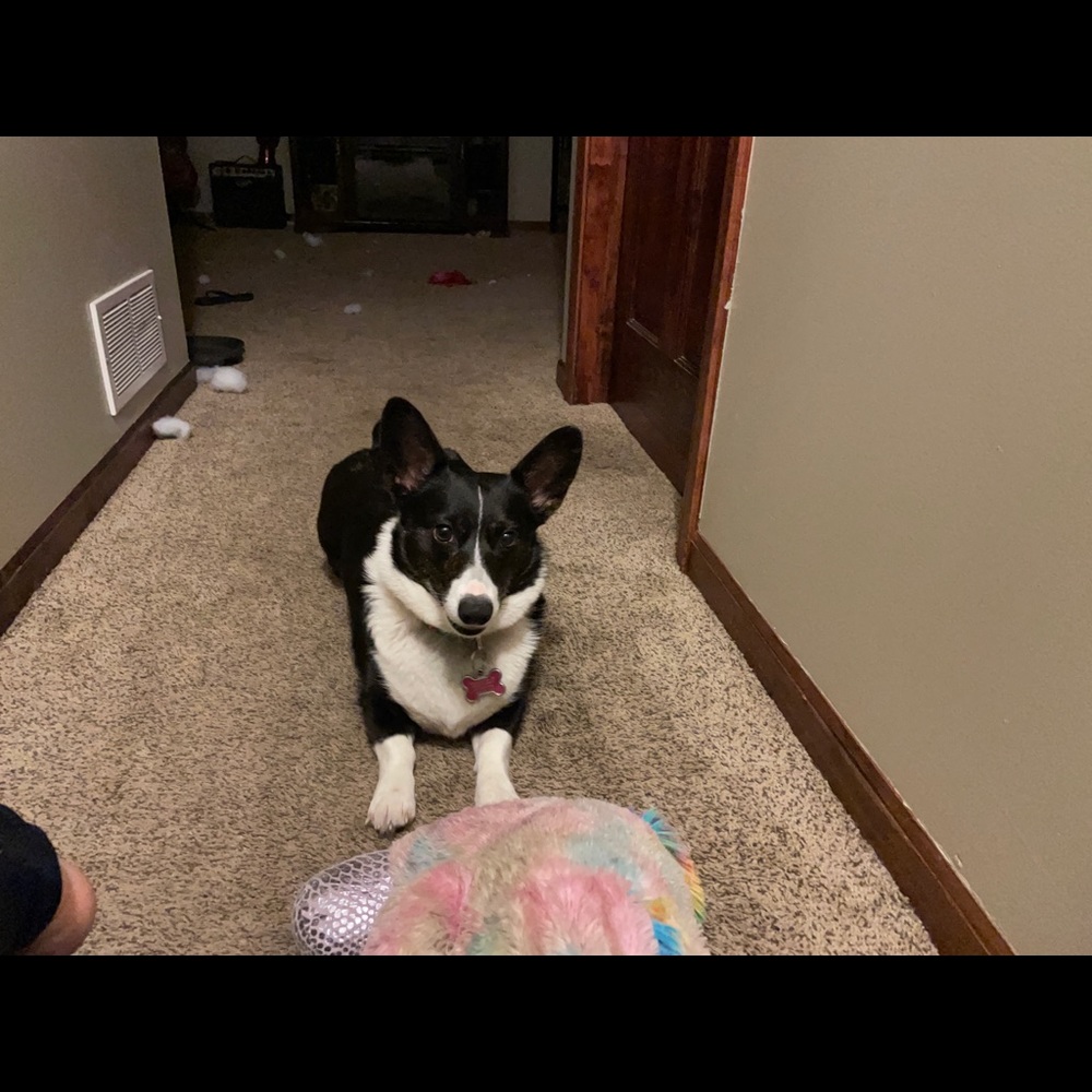 Meet your Posher, Michelle